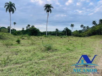 Finca de 5200 tareas en venta