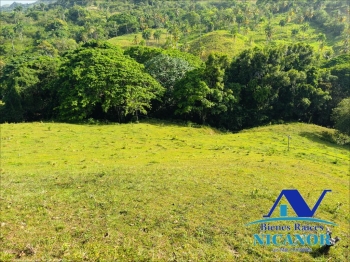 Finca de 278 tareas en venta en puerto plata