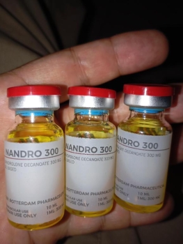Deca 300 rotterdan 10cc
