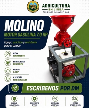 Molino con motor 6.5