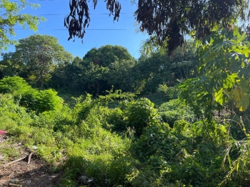 Vendo terreno de 4200 m. en la 6 de noviembre