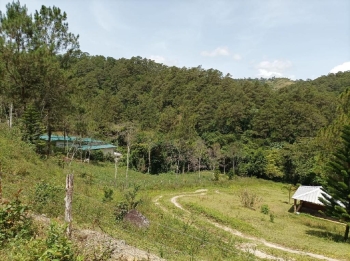 Terreno ideal para construir cabañas o villas