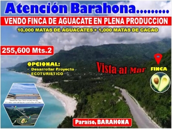 Vendo finca de aguacate en paraíso barahona 255600 mts.2 vista al mar