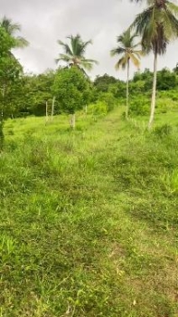 Terreno en venta  carretera samanÁ–las galeras