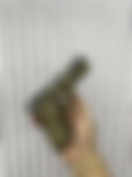 Pistola feg hungara carandai