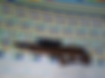 Rifles pcp para cacería  en azua