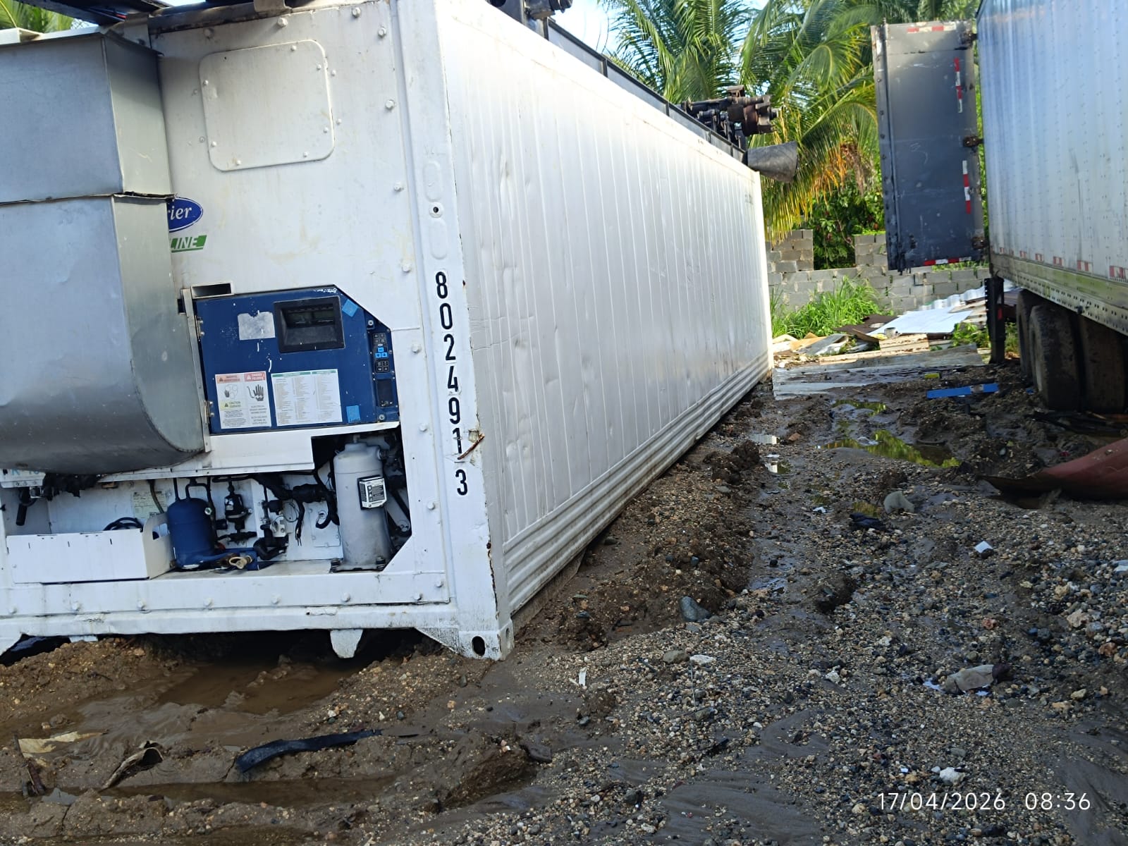 Contenedores Cajas Refrigeradas  8098427700 / 8495259900 Foto 6607379-9.jpg