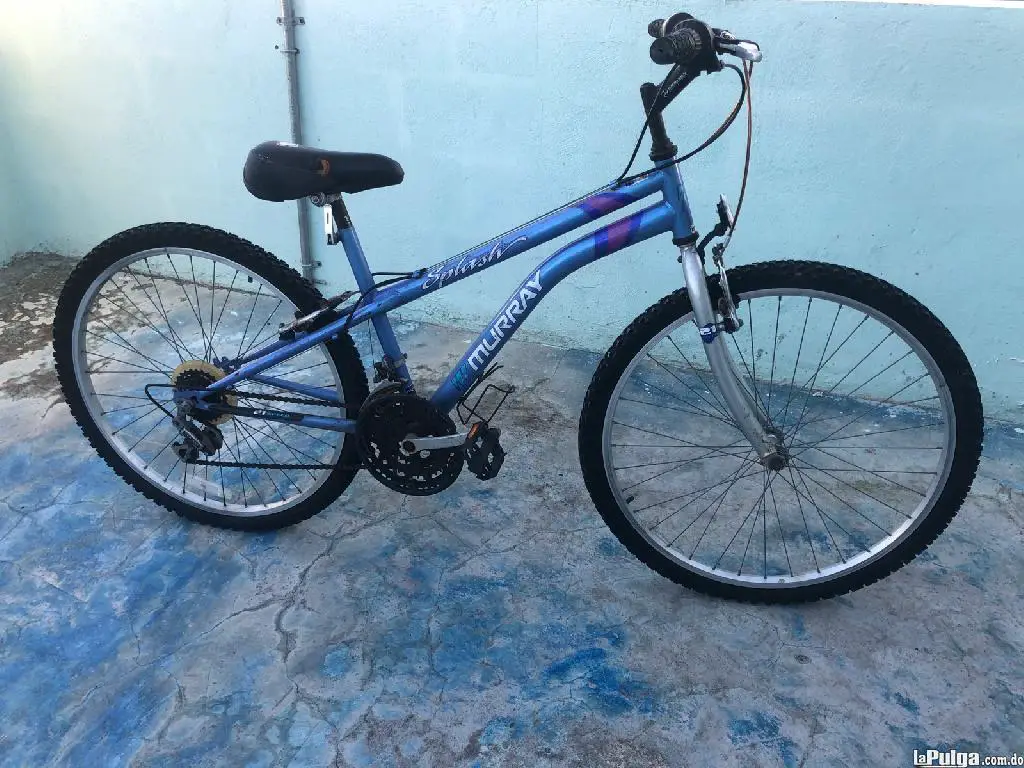 Bicicleta marca MURRAY EN EXCELENTES CONDICIONES Foto 7130664-3.jpg