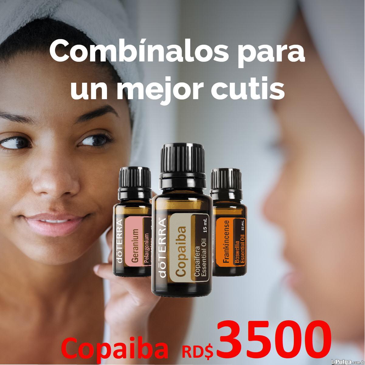 Aceite puro original genuino de copaiba marca doTERRA YOUNG LIVING otr Foto 7131039-3.jpg