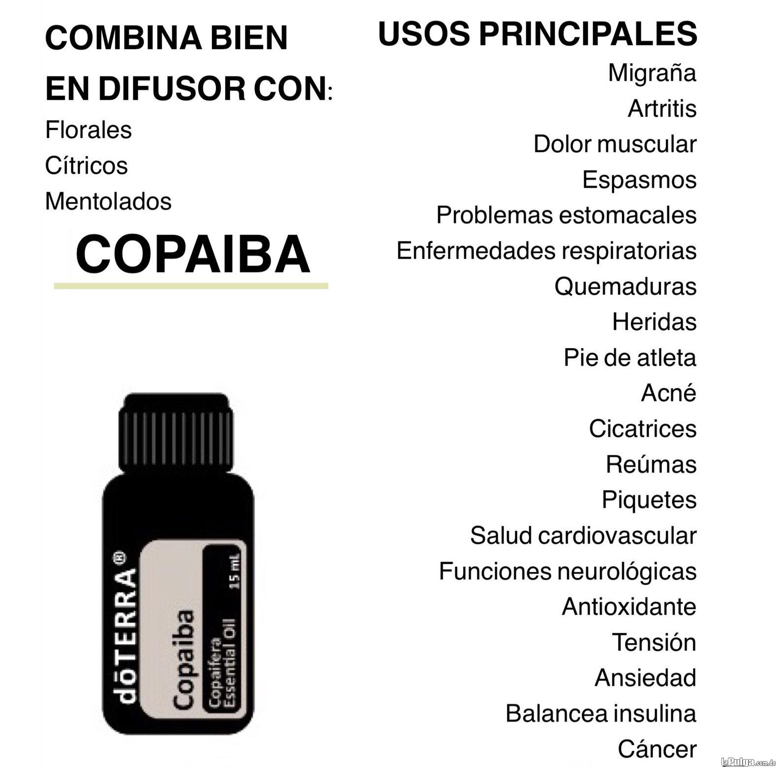 doTERRA YOUNG LIVING y otras marcas de fama Mundial Aceite de Copaiba  Foto 7131040-4.jpg