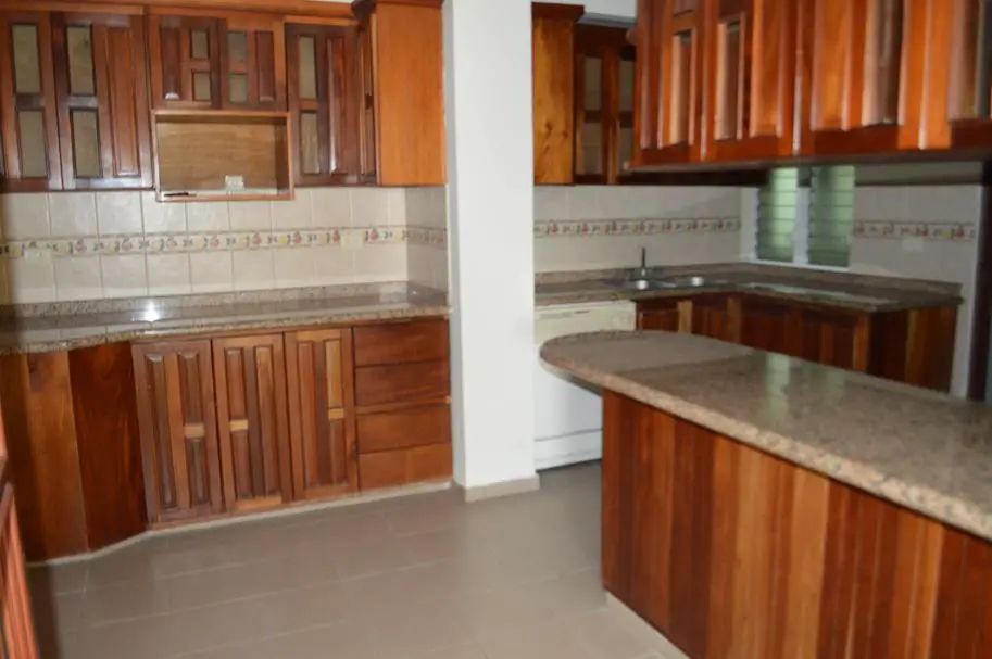 Apartamento en venta amplio claro y ventilado Piantini DN Foto 7168013-4.jpg