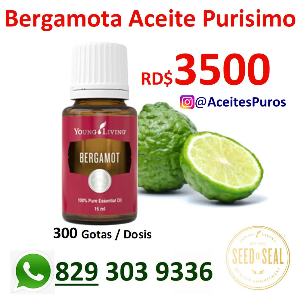 aceite de bergamota bergamot marca YOUNG LIVING puro origina Foto 7168309-1.jpg