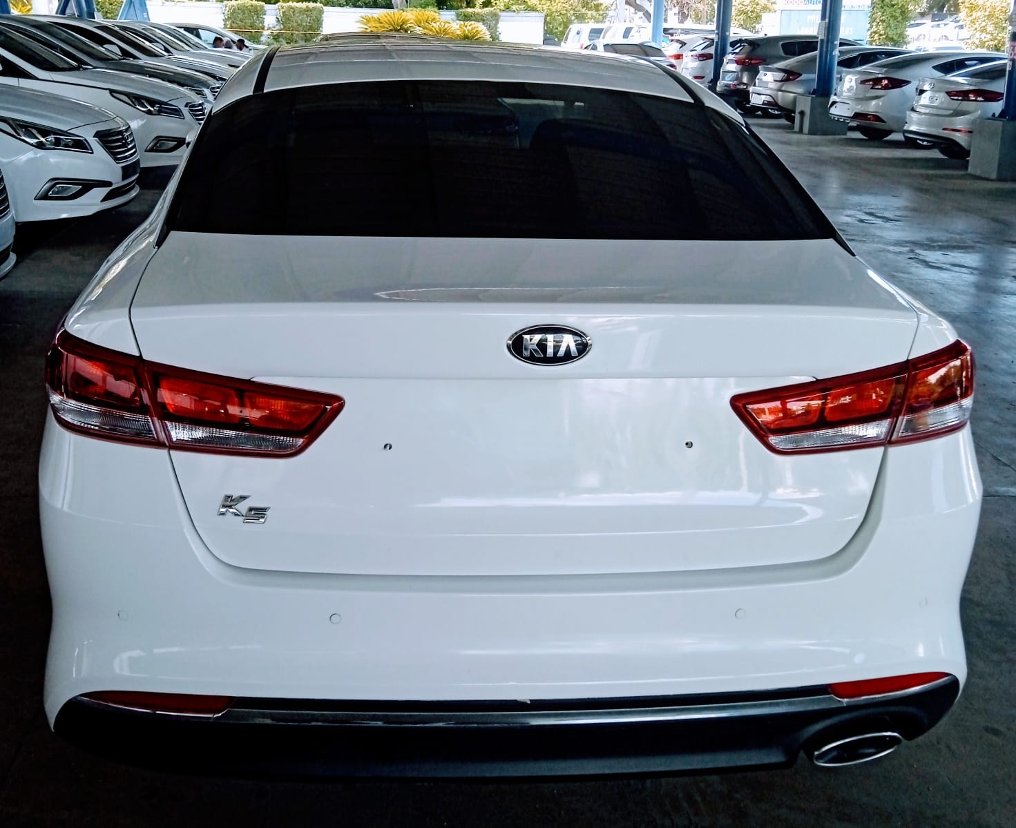 Kia  2017 Gas Foto 7172717-2.jpg