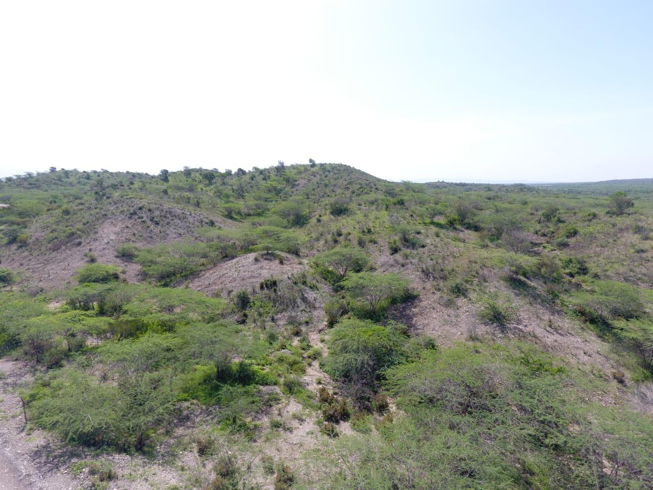 Vendo en AZUA terreno ideal para proyectos  Foto 7172869-D1.jpg