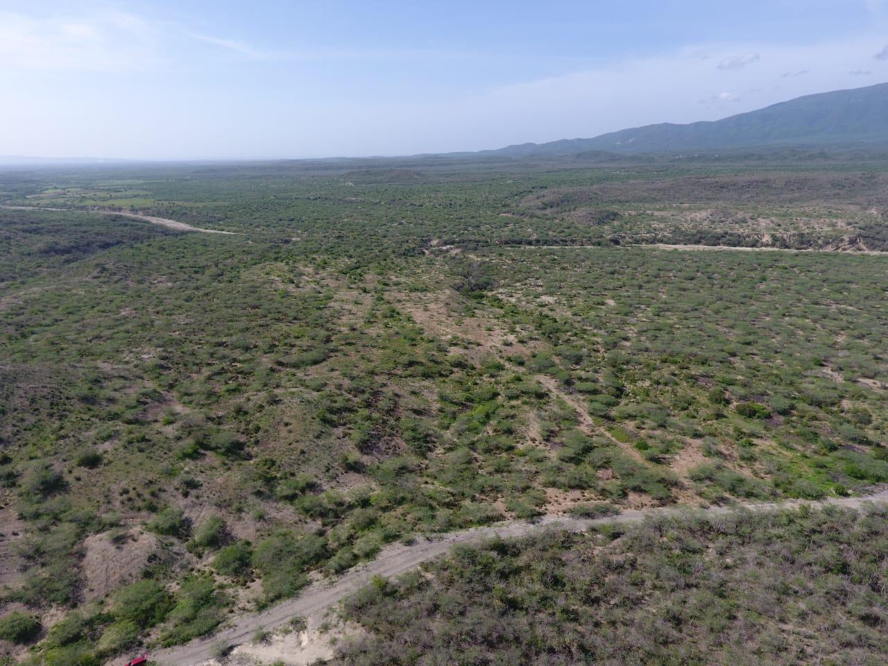 Vendo en AZUA terreno ideal para proyectos  Foto 7172869-n1.jpg