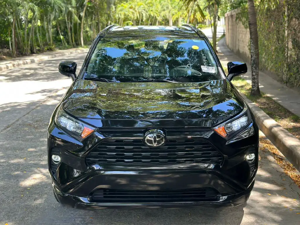 Toyota RAV4 LE 2019 en Duarte Foto 7172957-1.jpg