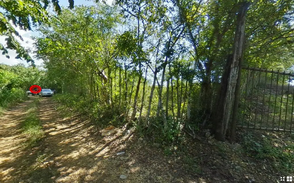 Se Vende Terreno de 92964 m Carretera Mella Boca Chica Foto 7174508-5.jpg