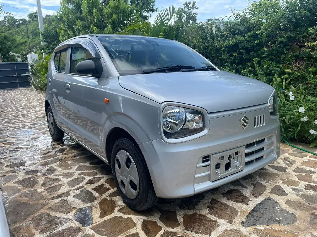 Suzuki Alto 2018 429000 Pa Rapido Foto 7206877-R1.jpg