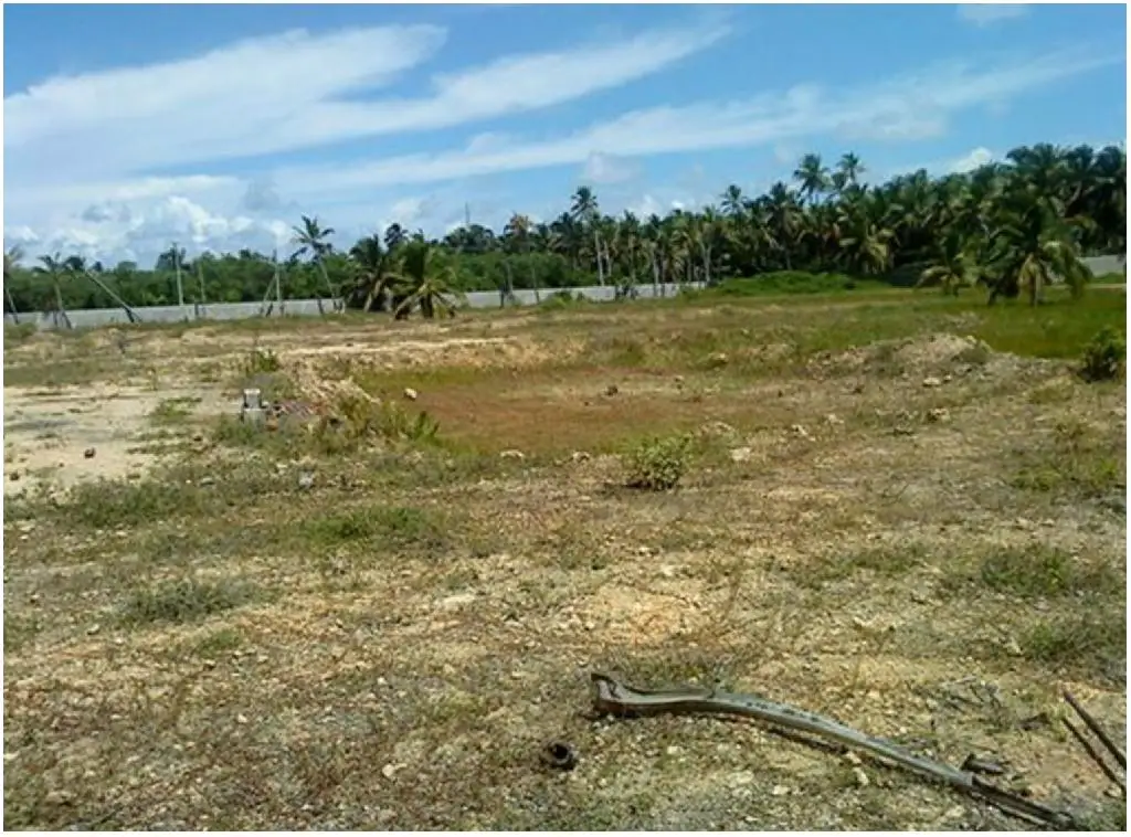 900000 DE METROS CUADRADOS DE TERRENO CON PLAYA EN UVERO ALTO CON LA M Foto 7218220-3.jpg