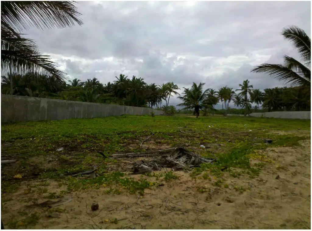 900000 DE METROS CUADRADOS DE TERRENO CON PLAYA EN UVERO ALTO CON LA M Foto 7218220-7.jpg