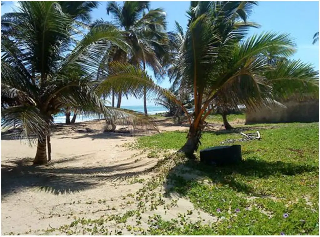 SE VENDEN 600000 DE METROS CUADRADOS CON PLAYA EN UVERO ALTO CON LA ME Foto 7218221-1.jpg