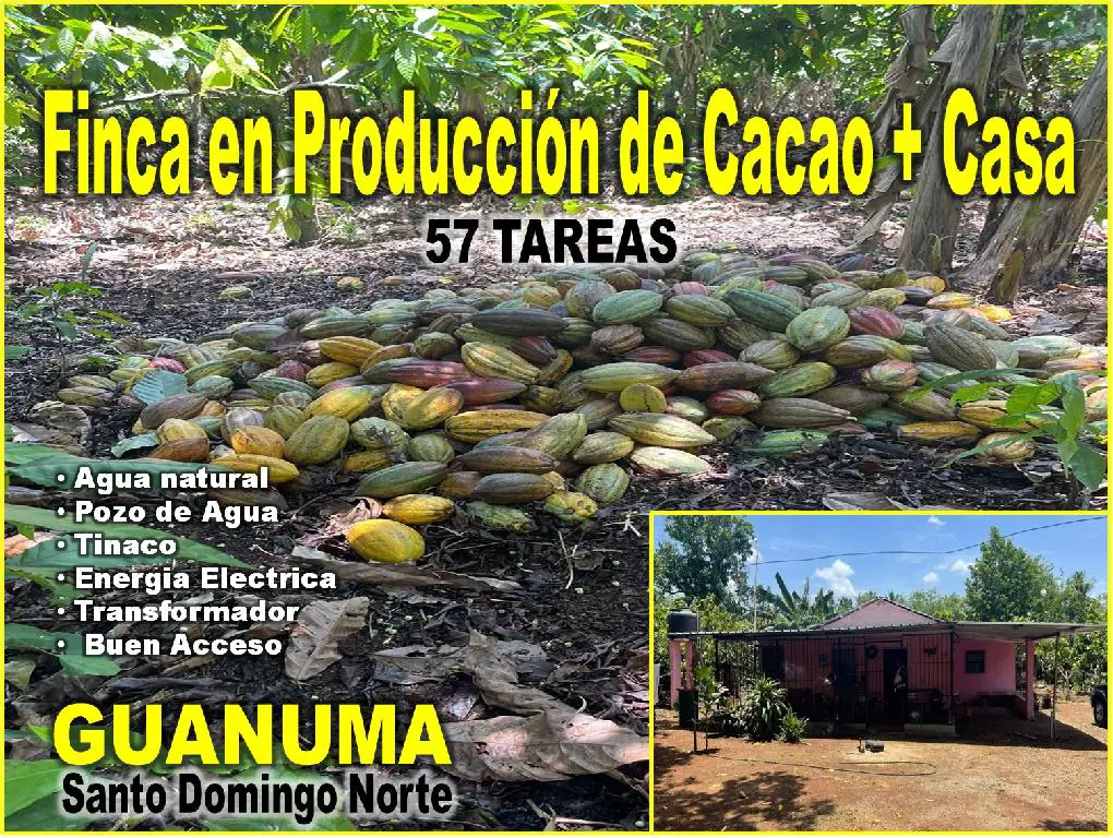 Finca 57 TAREAS en Producción de Cacao   CASA Guanuma Santo Domingo No Foto 7228146-10.jpg