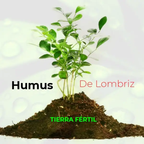 Abono Orgánico Humus de Lombriz para una tierra fértil. Da vida a tus  Foto 7242768-1.jpg