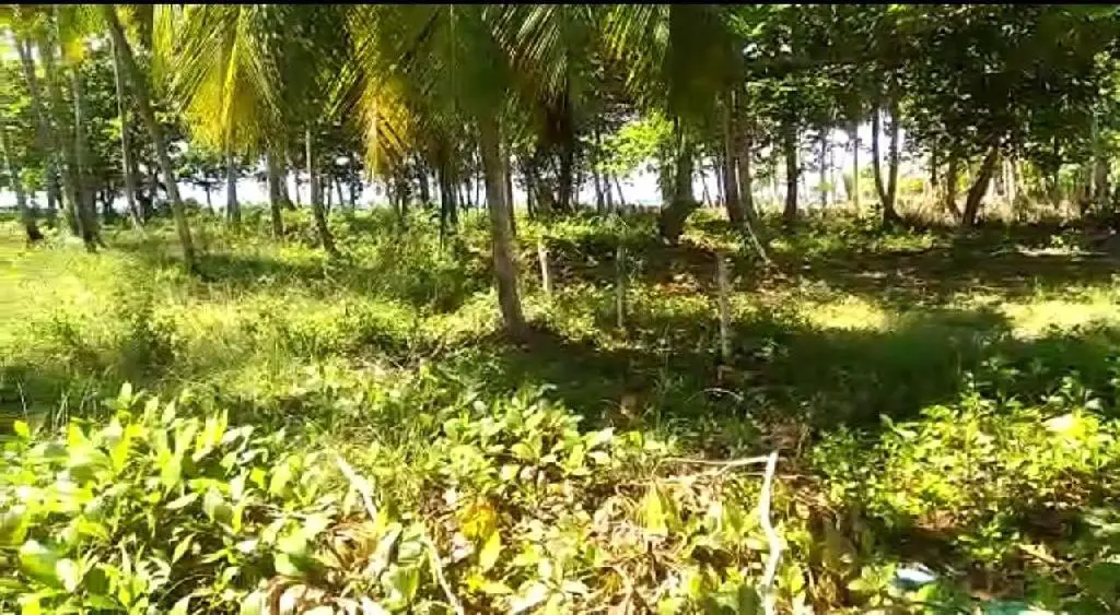 terreno-Oportunidad en Playa Alemán La Playa Samaná. Foto 7254396-6.jpg