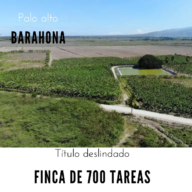 Finca de 700 tareas  de Guineos totalmente equipada en Barahona Foto 7270781-1.jpg