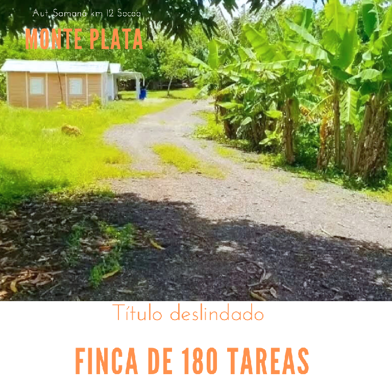 Finca de 180 tareas con casas campestres y agrícola Monte Plata Foto 7271870-1.jpg