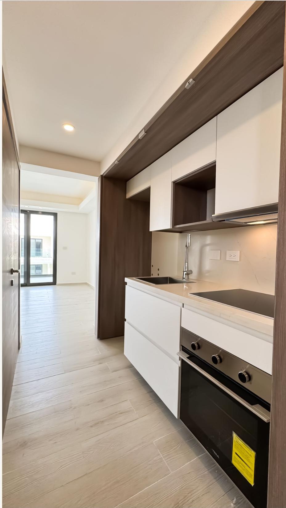 Vendo apartamento en primera línea de playa Punta Cana Foto 7273878-2.jpg