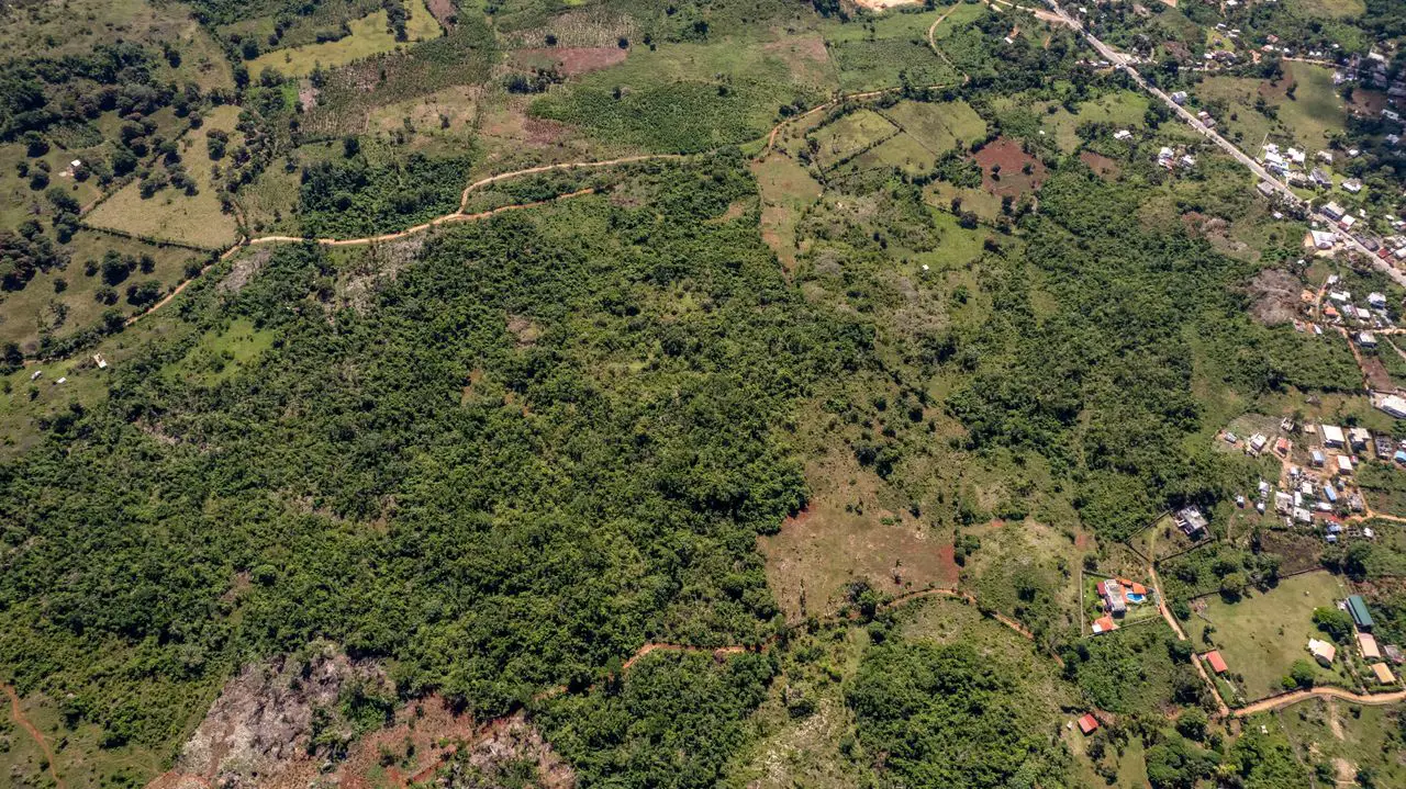 Solares en Venta en Las Galeras Samaná para Construcción de Villas Foto 7275087-2.jpg