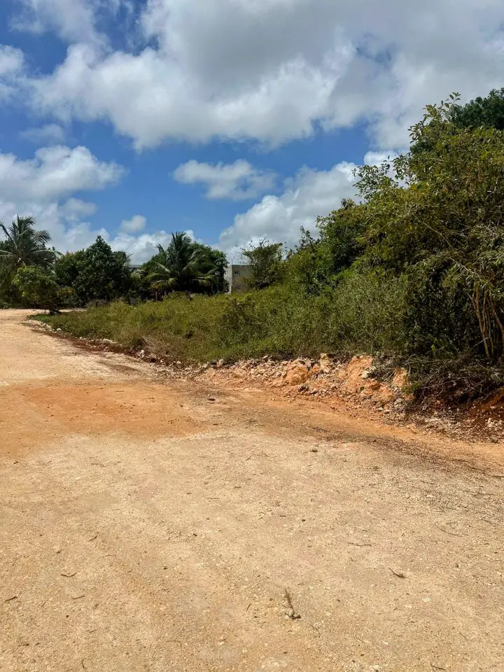 Solares en Venta en Las Galeras Samaná para Construcción de Villas Foto 7275087-5.jpg