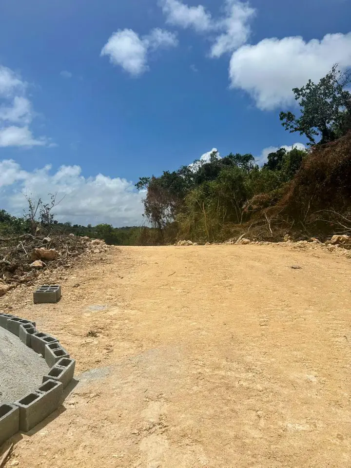 Solares en Venta en Las Galeras Samaná para Construcción de Villas Foto 7275087-7.jpg