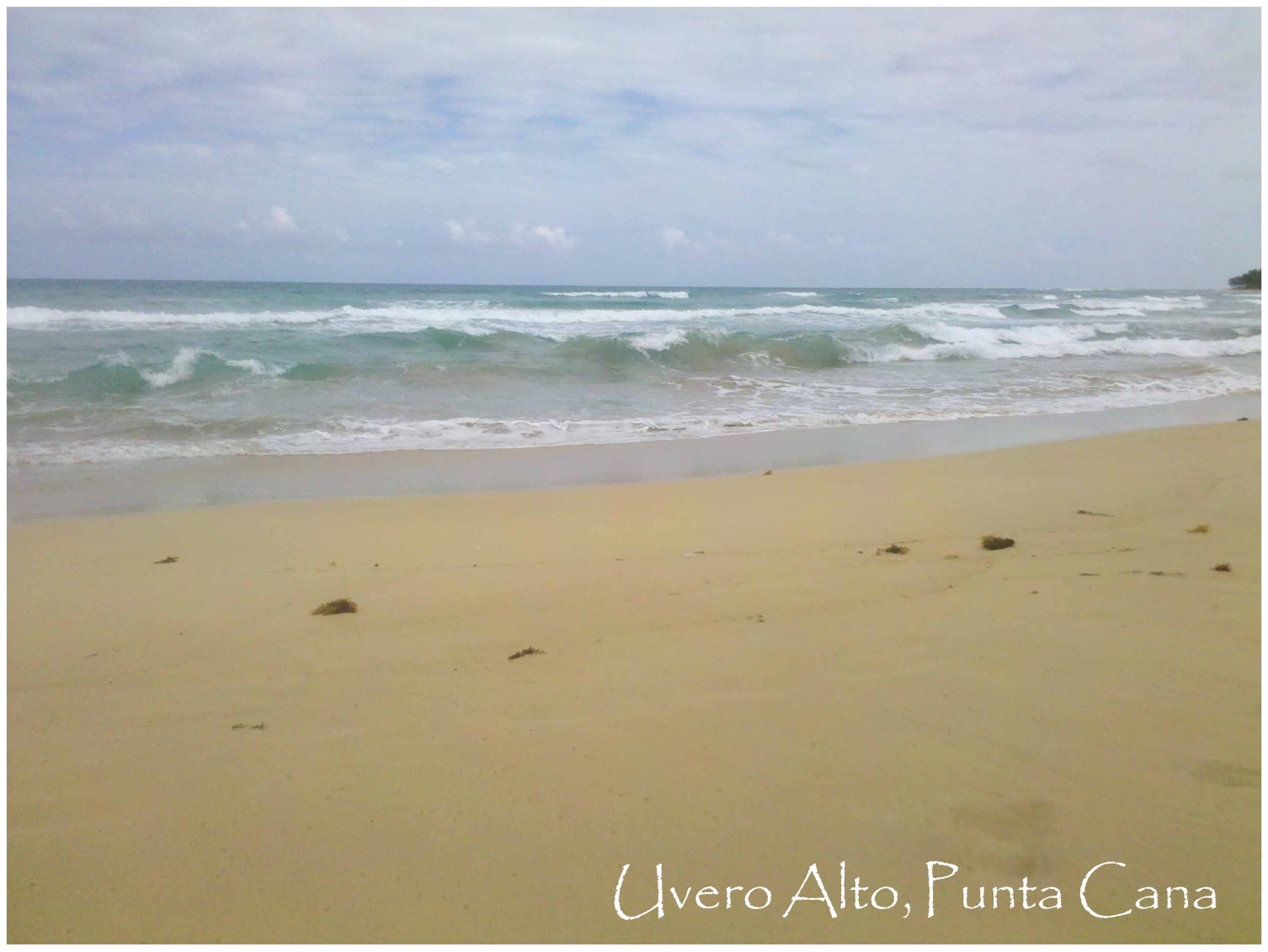 Vendo 1.5 Millón de Mts.2 CON PLAYA en UVERO ALTO o 900000 o  600000 P Foto 7275804-4.jpg