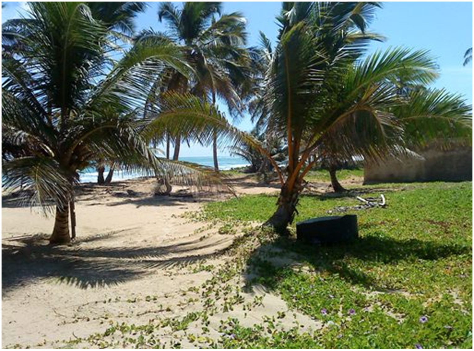 Vendo 1.5 Millón de Mts.2 CON PLAYA en UVERO ALTO o 900000 o  600000 P Foto 7275804-6.jpg