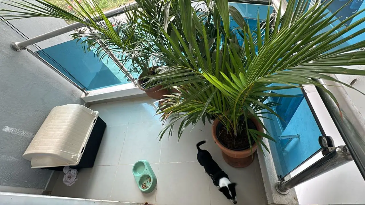 Hermoso apartamento de venta en Jarabacoa  Foto 7275994-4.jpg