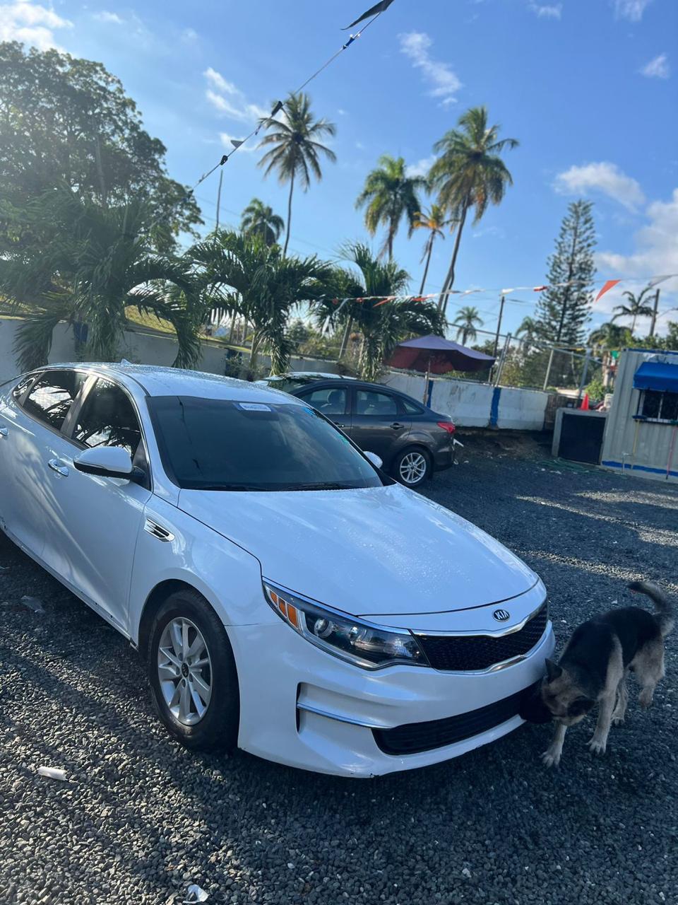KIA OPTIMA 2019 AMERICANO RECIEN IMPORTADO!! Foto 7276562-2.jpg