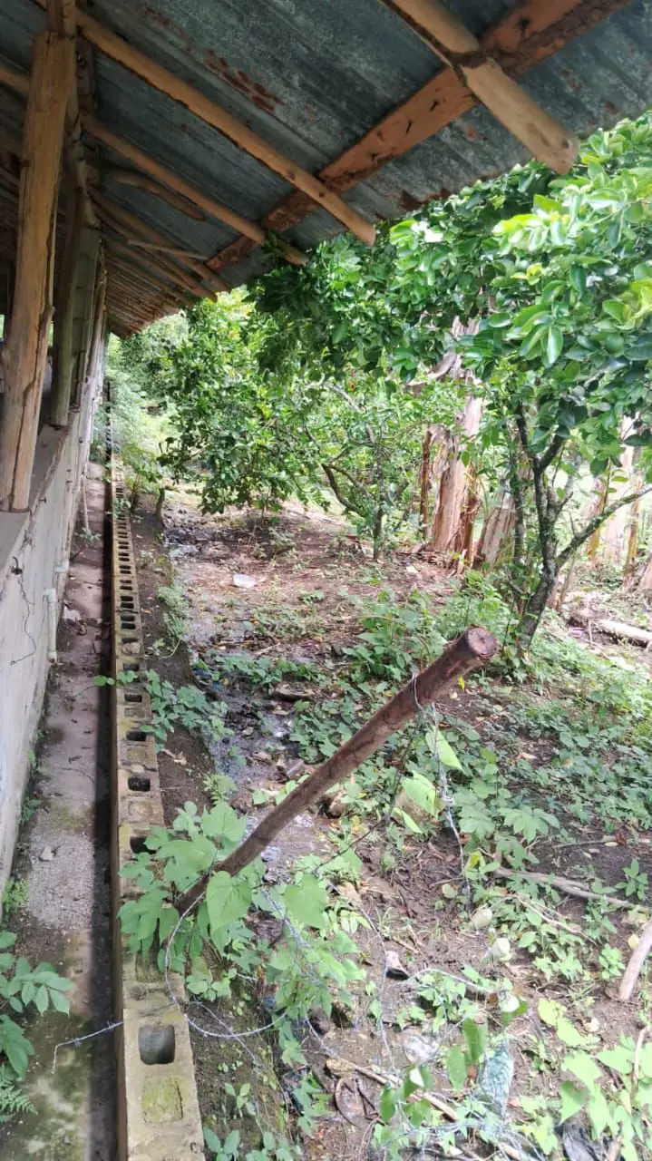 Finca en Venta en Don Juan de 25 Tareas de Oportunidad ???? Foto 7276572-6.jpg