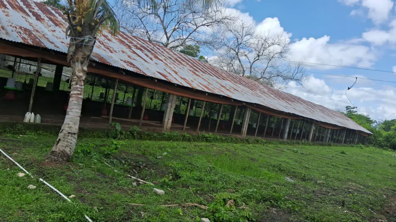 Finca en Venta en Don Juan de 25 Tareas de Oportunidad ???? Foto 7276572-8.jpg