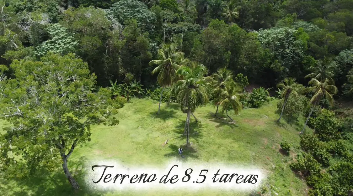 Finquita de 8.5 Tareas Sabana Grande de boya - monte plata. Foto 7277027-2.jpg