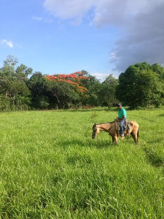 Vendo finca de 2700 tareas de oportunidad en Bayaguana Foto 7277044-2.jpg