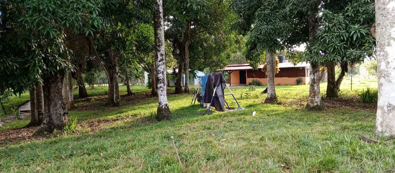 Finca de 50 tareas con vocación Agrícola y Ganadera con Casa campestre Foto 7277305-3.jpg