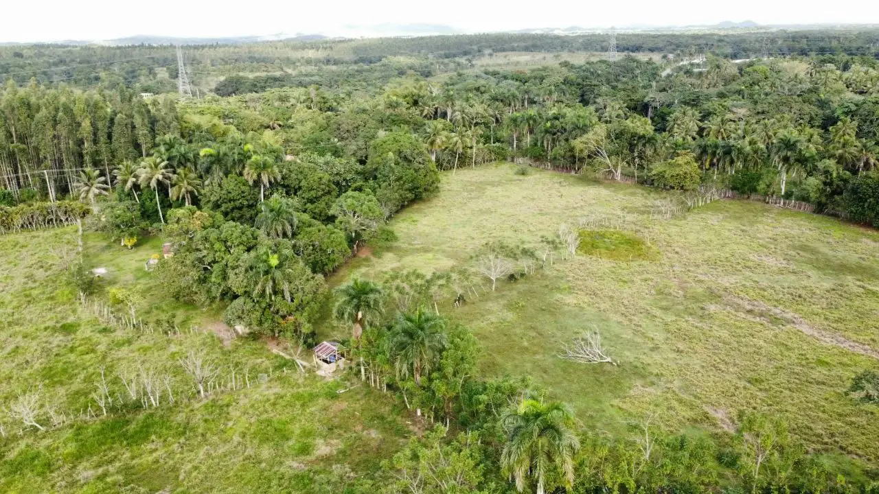 Finca de 50 tareas con vocación Agrícola y Ganadera con Casa campestre Foto 7277305-7.jpg