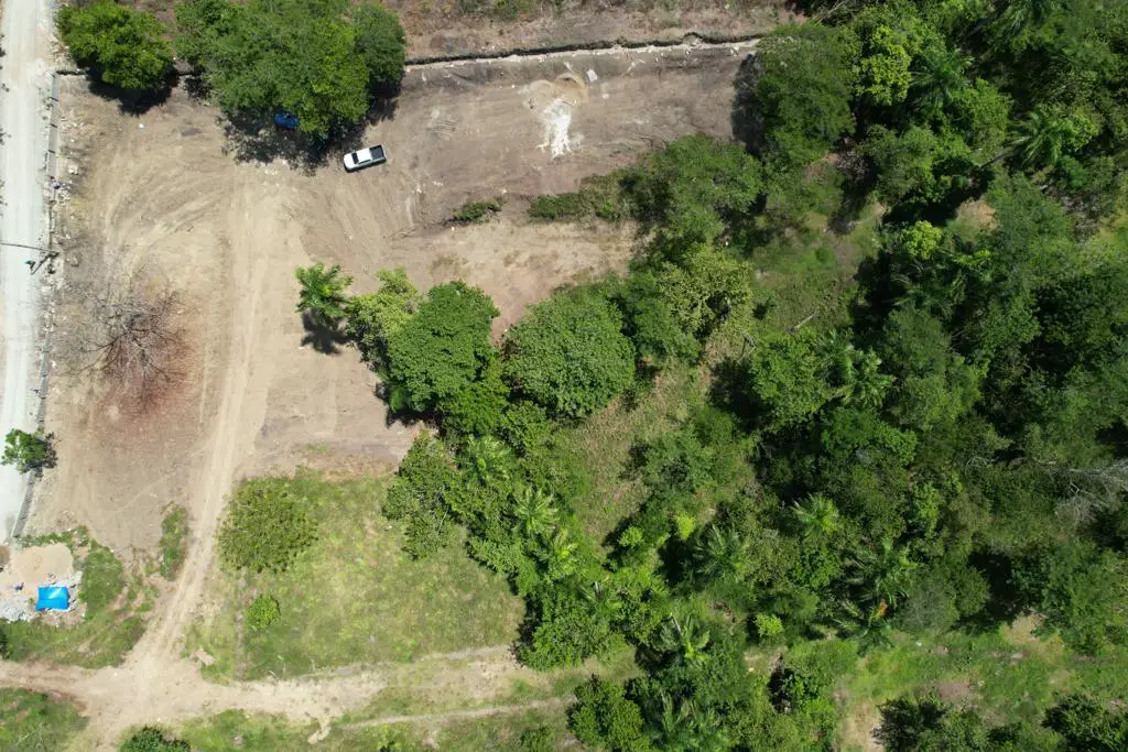 Vendo finca de 100 tareas Eco-turísticas en Puerto Plata Foto 7277383-10.jpg