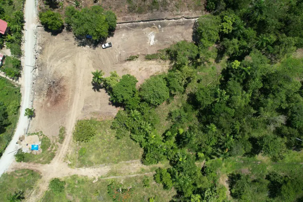 Vendo finca de 100 tareas Eco-turísticas en Puerto Plata Foto 7277383-13.jpg
