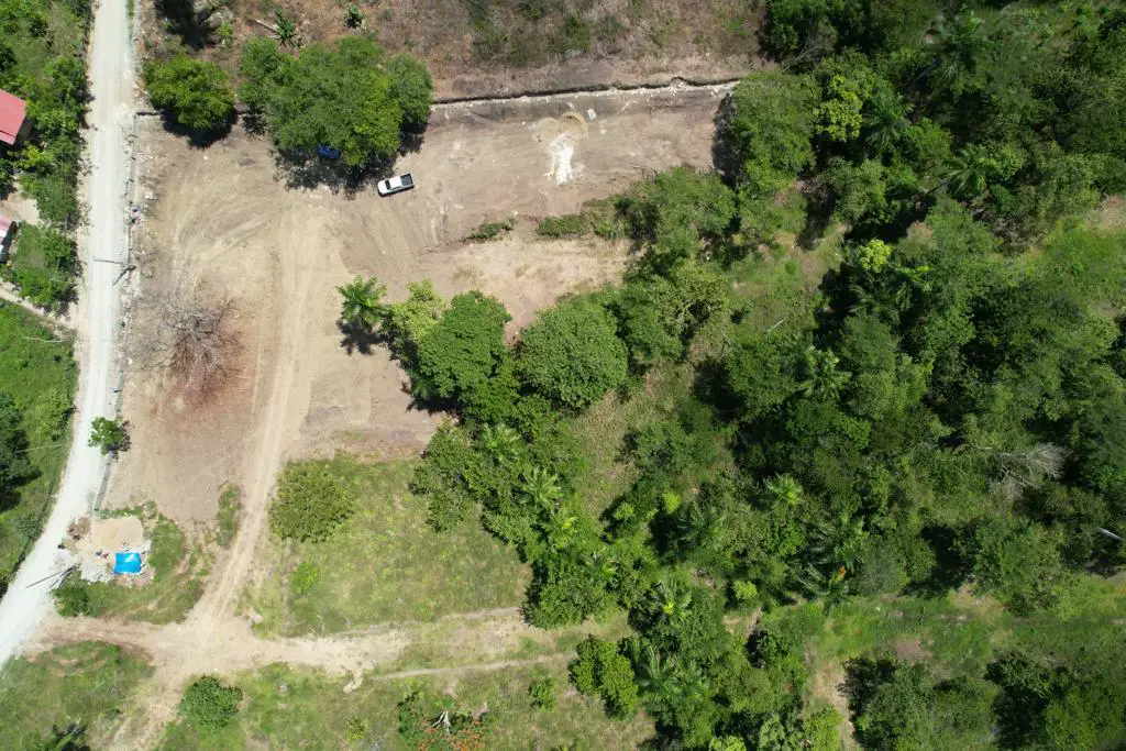Vendo finca de 100 tareas Eco-turísticas en Puerto Plata Foto 7277383-14.jpg