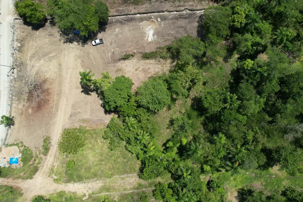 Vendo finca de 100 tareas Eco-turísticas en Puerto Plata Foto 7277383-15.jpg