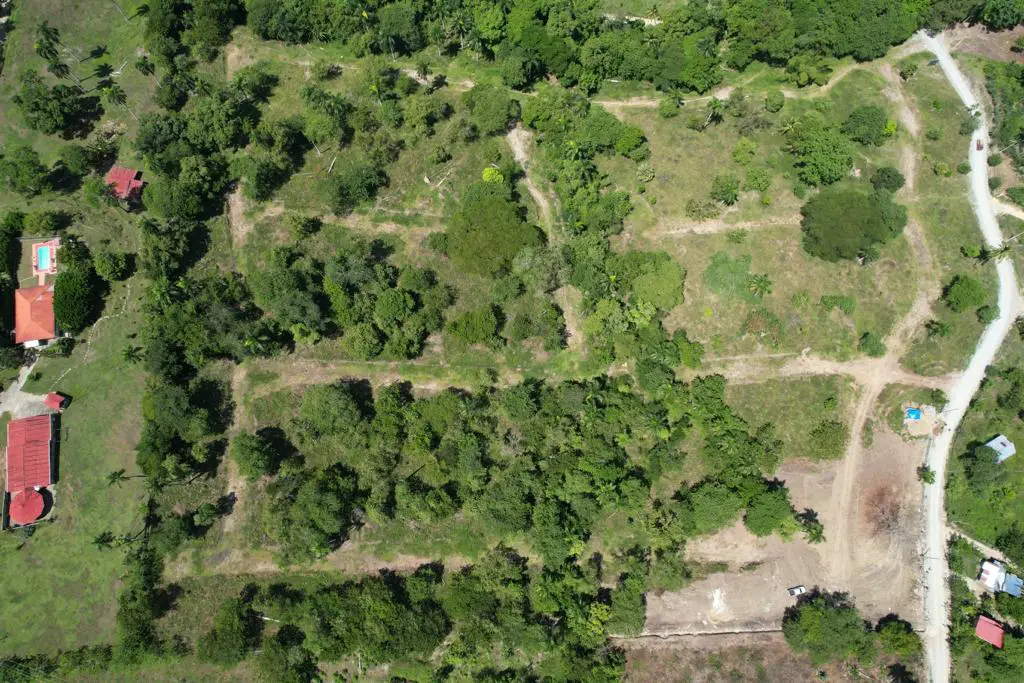 Vendo finca de 100 tareas Eco-turísticas en Puerto Plata Foto 7277383-7.jpg
