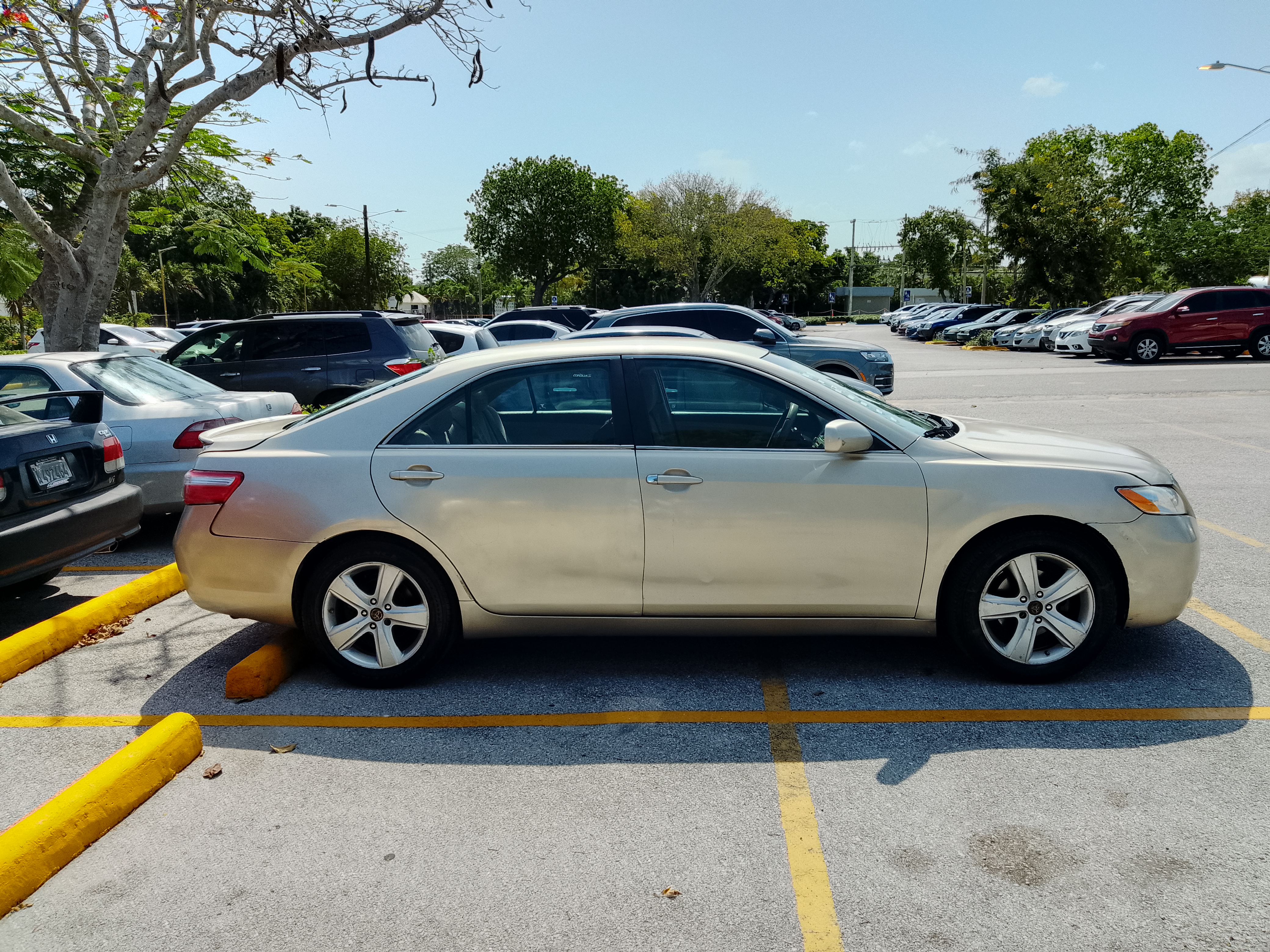Toyota Camry 2009 Foto 7277534-7.jpg